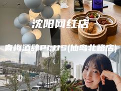 -青梅酒肆PLUS(长白仙岛北路店)