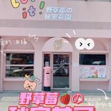 这就是生活之秘密小花园