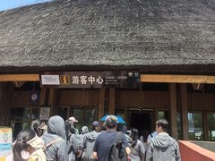 -白洋淀景区