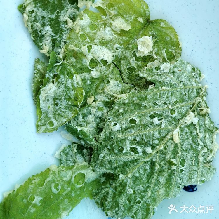 鳐鱼，这个季节最金贵的存在