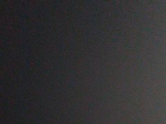 -东京包子楼(政七街店)