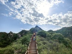 -大岭沟猕猴桃谷风景区