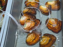 -十八字金·银饰·开蚌DIY·手工体验团建(魏公芳华里店)