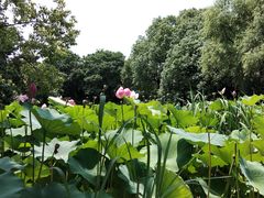 -芸海阁·农家私房菜(沙家浜景区出口店)