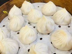 鲜肉小笼-大龙汤包
