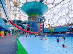 -水立方嬉水乐园