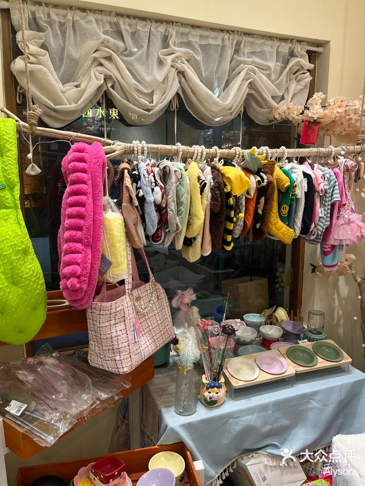 0元玩转这座城藏在西水东的宠物店专注于猫猫的洗护美容「精灵殿下