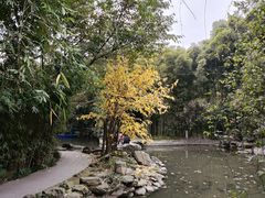 -望江楼公园