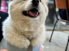 -VOYAGE COFFEE 咖啡烘焙工坊店(798艺术区店)