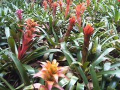 -华南国家植物园-售票处