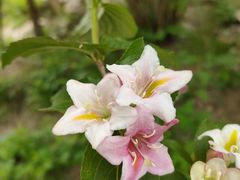 -崂山九水游览区