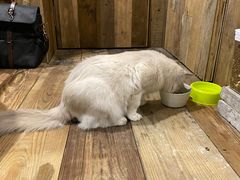 -邈墨茶馆(大兜路1号店)