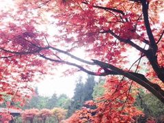 -重庆九凤瑶池海明山庄