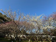 -杭州植物园