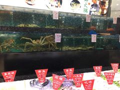 水产区-宝燕壹号(徐汇店)