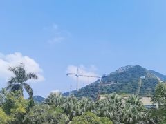 -黄腾峡天门悬廊