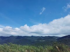 -武陵山森林公园