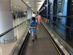 -上海浦东国际机场-T2航站楼