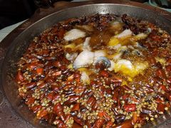 -雲蜀龙阁·金牌水煮鱼(方庄店)