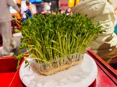 -黄家码头老火锅(解放碑旗舰店)