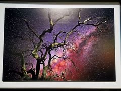 -罗红摄影艺术馆