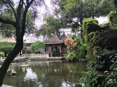 -碧江金楼