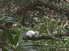 -莲花山公园