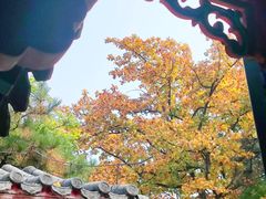-红螺寺