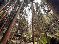 -梭布垭石林景区