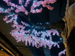 -蓝鲸湾汤泉(包河店)