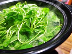现烫鸡毛菜-小徽舟臭鳜鱼(雅清街店)