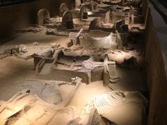 -洛阳周王城天子驾六博物馆