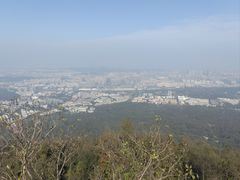 -紫金山山顶公园
