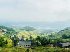 -紫鹊界梯田景区