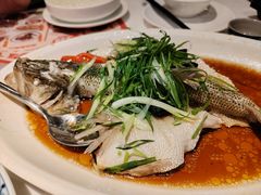 榄角蒸鲈鱼-虾饺妹·酒家(金碧店)
