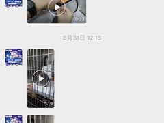 -芭比堂动物医院广州顽皮分院