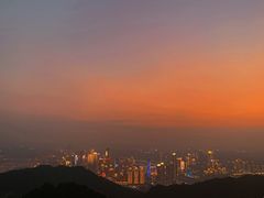 -大金鹰园
