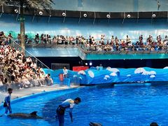 -海合安成都极地海洋公园