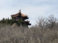 -白水寺森林公园
