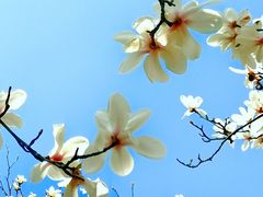 -共青国家森林公园-售票处