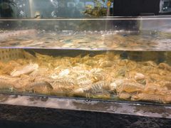 -龙宴海鲜城(经中路店)
