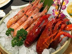 -菊上•尊品料理(蚌埠银泰店)