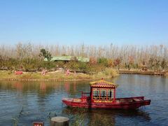 -合肥滨湖国家森林公园