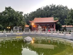 -顺峰山公园
