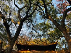 -普陀山风景名胜区-法雨禅寺