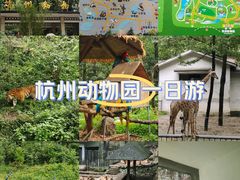 -杭州动物园