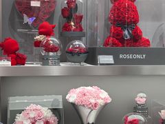 -ROSEONLY诺誓(沈阳万象城店)