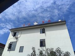 -马村鱼头