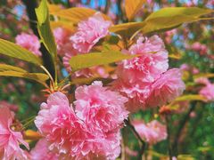-贵阳市花溪国家城市湿地公园