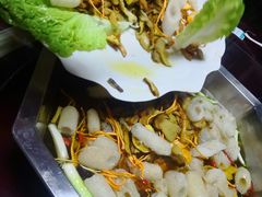 -山大王菌莊
